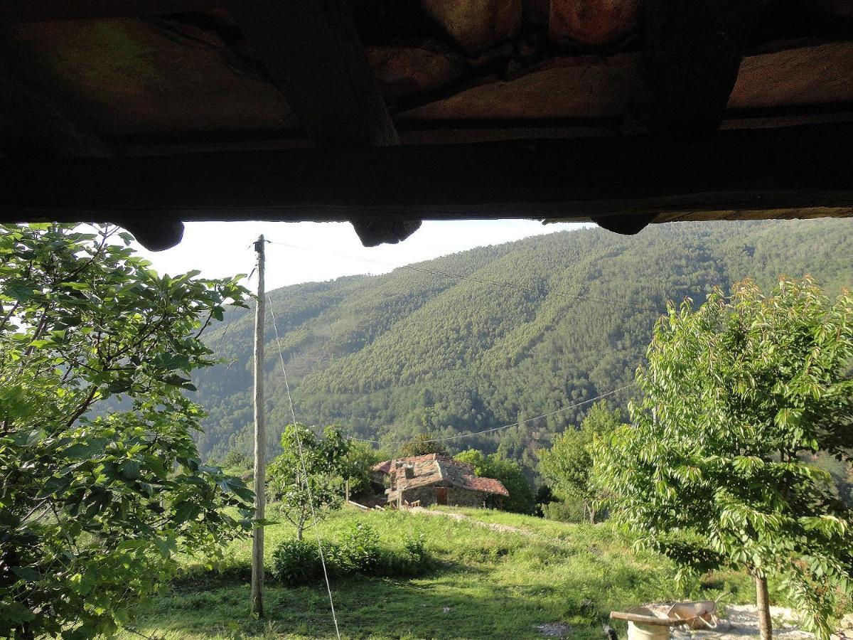 Casa Dos Livros Villa Talasnal Esterno foto